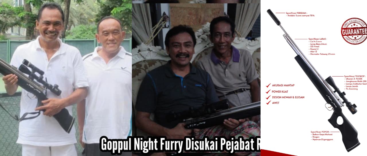 senapan angin terbaik